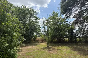 3761 Hwy 231, Cottondale, FL 32431 - Photo 76