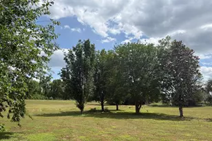 3761 Hwy 231, Cottondale, FL 32431 - Photo 70
