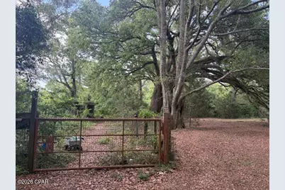 3761 Highway 231, Cottondale, FL 32431 - Photo 22
