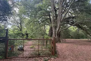 3761 Hwy 231, Cottondale, FL 32431 - Photo 22