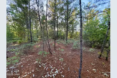 Lot 53 Yarmouth Avenue, Chipley, FL 32428 - Photo 6