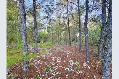 Lot 53 Yarmouth Avenue, Chipley, FL 32428 - Photo 4