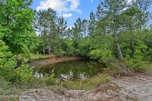 17627 Fall Ln, Fountain, FL 32438 - Photo 32
