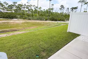 345 Sea Tern Ln, Port Saint Joe, FL 32456 - Photo 6