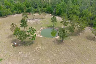 434 Tinker Ln, Chipley, FL 32428 - Photo 44