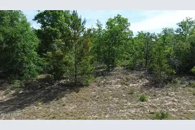 Lot 2 Baypoint Drive, Chipley, FL 32428 - Photo 8