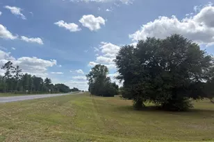 2912 Rock Btm Dr, Cottondale, FL 32431 - Photo 6