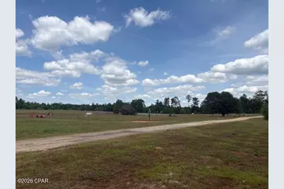 2912 Rock Bottom Drive, Cottondale, FL 32431 - Photo 6