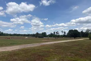 2912 Rock Btm Dr, Cottondale, FL 32431 - Photo 6