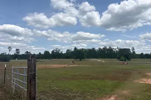 2912 Rock Btm Dr, Cottondale, FL 32431 - Photo 10