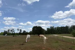 2912 Rock Btm Dr, Cottondale, FL 32431 - Photo 14