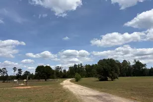 2912 Rock Btm Dr, Cottondale, FL 32431 - Photo 8