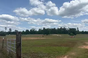 2912 Rock Btm Dr, Cottondale, FL 32431 - Photo 10
