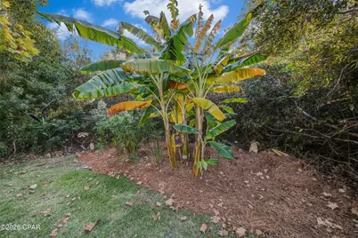 3021 Meadow Street, Lynn Haven, FL 32444 - Photo 20