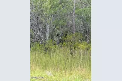 4539 NW White Road, Altha, FL 32421 - Photo 32