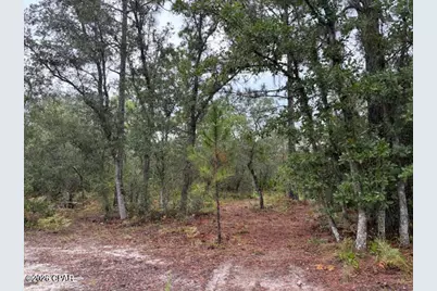 4539 NW White Road, Altha, FL 32421 - Photo 18