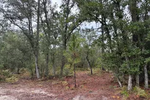 4539 NW White Rd, Altha, FL 32421 - Photo 18