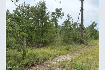 4539 NW White Road, Altha, FL 32421 - Photo 46