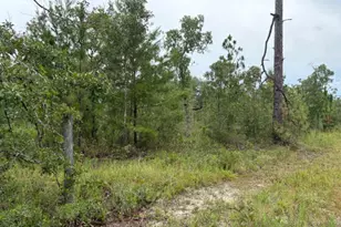 4539 NW White Rd, Altha, FL 32421 - Photo 46