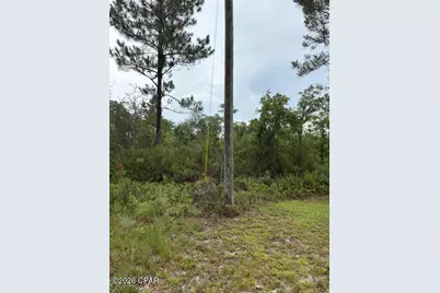 4539 NW White Road, Altha, FL 32421 - Photo 28