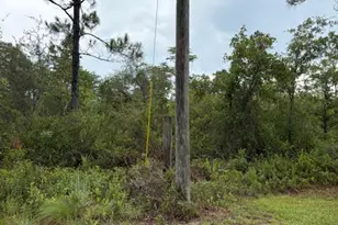 4539 NW White Rd, Altha, FL 32421 - Photo 28