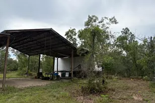 4539 NW White Rd, Altha, FL 32421 - Photo 20