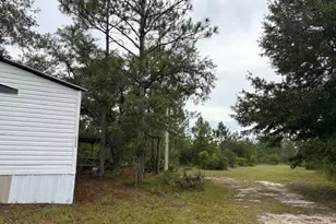 4539 NW White Rd, Altha, FL 32421 - Photo 10