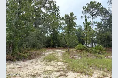 4539 NW White Road, Altha, FL 32421 - Photo 24