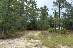 4539 NW White Rd, Altha, FL 32421 - Photo 24