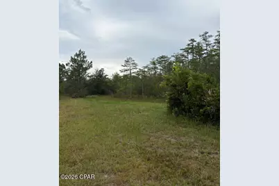 4539 NW White Road, Altha, FL 32421 - Photo 30