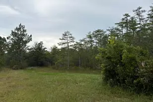 4539 NW White Rd, Altha, FL 32421 - Photo 30