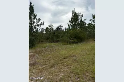 4539 NW White Road, Altha, FL 32421 - Photo 34