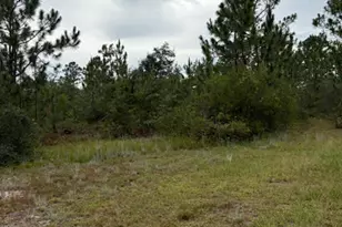 4539 NW White Rd, Altha, FL 32421 - Photo 34