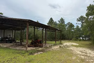 4539 NW White Rd, Altha, FL 32421 - Photo 22