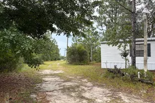 4539 NW White Rd, Altha, FL 32421 - Photo 6
