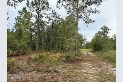 4539 NW White Road, Altha, FL 32421 - Photo 38