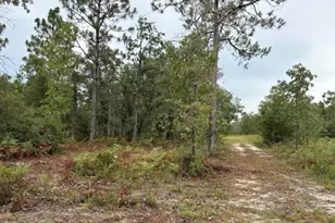 4539 NW White Rd, Altha, FL 32421 - Photo 38