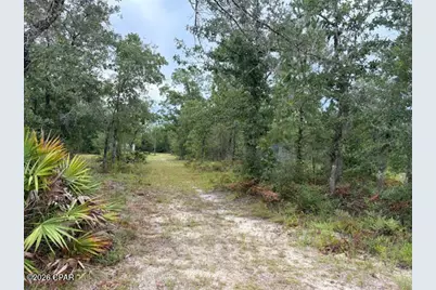4539 NW White Road, Altha, FL 32421 - Photo 40