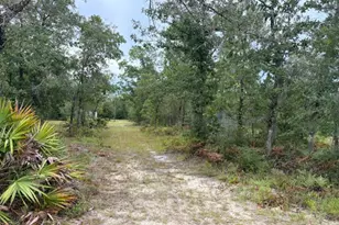 4539 NW White Rd, Altha, FL 32421 - Photo 40