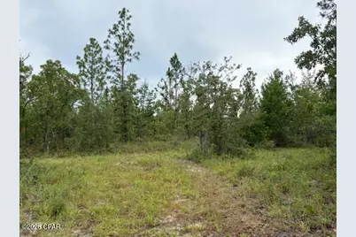 4539 NW White Road, Altha, FL 32421 - Photo 42