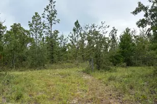 4539 NW White Rd, Altha, FL 32421 - Photo 42
