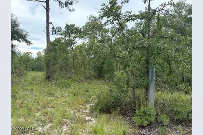 4539 NW White Road, Altha, FL 32421 - Photo 44