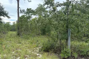 4539 NW White Rd, Altha, FL 32421 - Photo 44