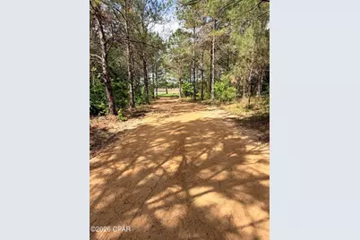 Xx Jj Whitaker Rd, Bonifay, FL 32425 - Photo 2
