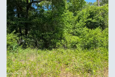 0 Cricket Village Circle, Bonifay, FL 32425 - Photo 4