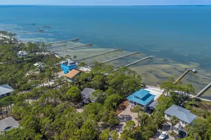 1235 Watkins Cove, Saint George Island, FL 32328 - Photo 70