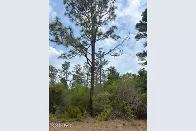 00 Southern Boulevard #L4 B203, Alford, FL 32420 - Photo 4