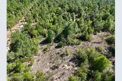 20455 Morrow Road, Fountain, FL 32438 - Photo 14