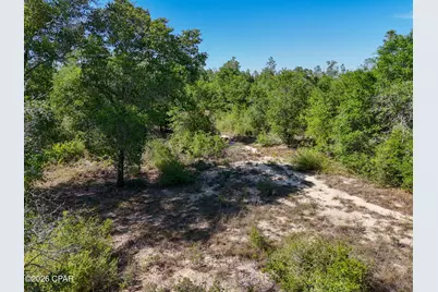 20455 Morrow Road, Fountain, FL 32438 - Photo 20