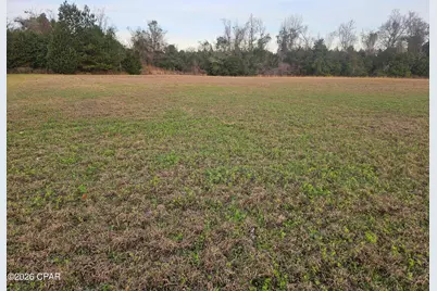 2945 Highway 71, Marianna, FL 32446 - Photo 6